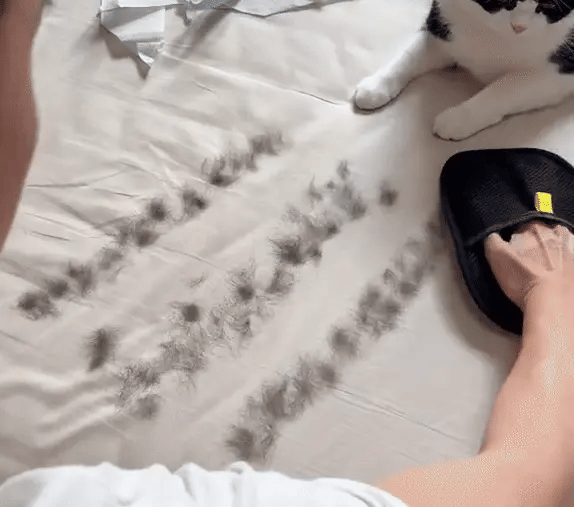 Pet Hair Removal Gloves